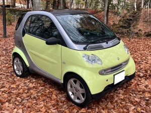 Smart 450 Sicherungskasten