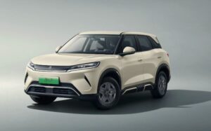 BYD Yuan Up Sicherungsbelegung